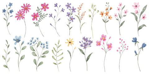 Flowers and leaves digital illustration, spring design, watercolor hand painting. Perfectly for printing, sublimation.