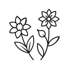 Obraz premium Botanical Flower Line Art Vector Illustration