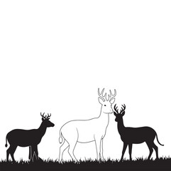 Naklejka premium vector illustration of a deer