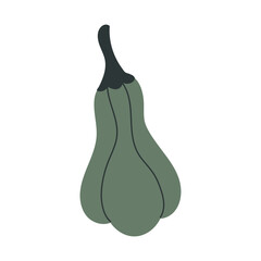 Hand drawn pumpkin doodle. Thanksgiving and Halloween decoration. Vector illustration, flat design