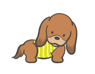 Adorable Fluffy Dachshund Wearing Dog Clothes. Vector Illustration Isolated On A White Background. 