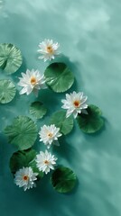 Floating Harmony: Serene water surface adorned with elegant lily pads and exquisite water lilies, creating a sense of tranquility and delicate beauty.