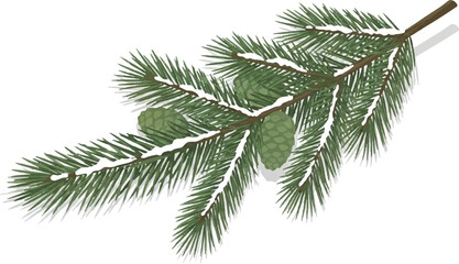 A close-up view of a green pine branch covered with a light dusting of snow and two small pine cones.