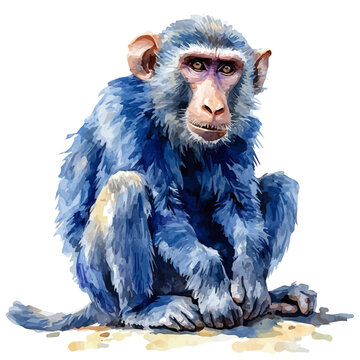 High-resolution watercolor painting vector of Baboon, isolated on a white background.