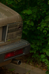 A close-up view of an old, dusty car rear, partially hidden by vibrant green foliage. Nature reclaiming urban remnants in a serene setting.