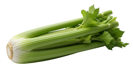 Fresh Bunch of Green Celery Stalks with Leaves on Black Background vegetable
