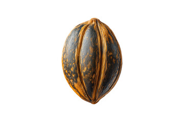 large pumpkin seed isolated on transparent background, cut out, PNG