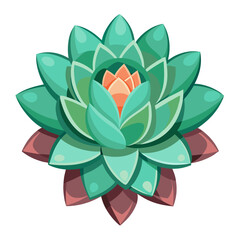 cactus bicolour flower on white 