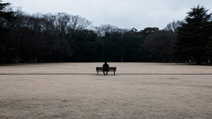 Naklejka premium Solitary Figure Sitting on Bench in Expansive Park Landscape during Overcast Weather