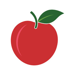 Red apple with green leaf and stem, isolated on white background. Vector