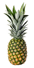 Fototapeta premium Pineapple fruit, Ananas comosus, isolated on transparent png or white background