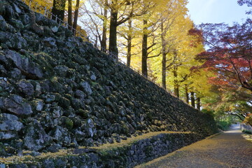 秋の高知城を散策　（高知県　高知市）