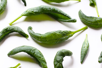 Curled spinach leaves on white background.