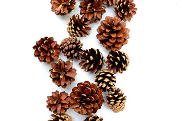 Obraz premium Pine cones on white background