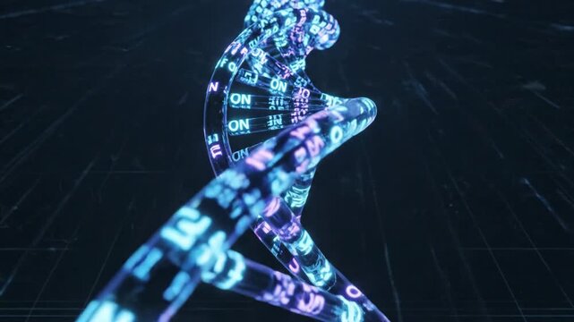 Digital DNA Barcode Gene Expression Pattern Loop