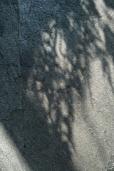 Shadow of leaves on the wall