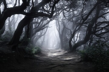 Eerie Path Through a Misty, Dark Forest Landscape.