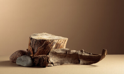 Composition with natural wooden snags on a beige background.