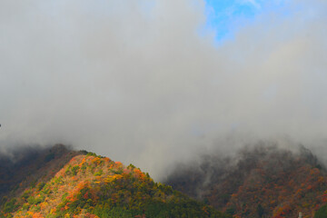 霧に覆われる紅葉の山