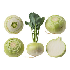Kohlrabi whole and sliced raw vegetables isolated on transparent background healthy vegan food ingredients realistic detailed illustration