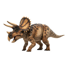 Triceratops dinosaurs animals wildlife with horns frill on transparent background prehistoric jurassic extinct paleontology