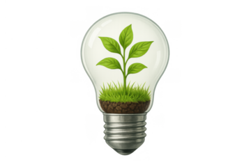 Lightbulb growing green plant with soil and grass, symbolizing eco friendly energy and sustainable environmental innovation on transparent background
