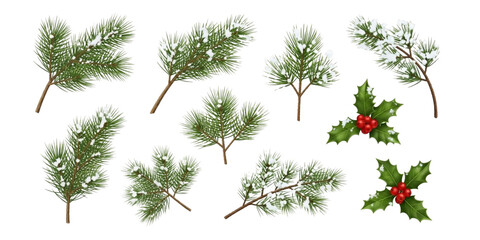 Assortment of Snow- Covered Pine Branches and Holly Sprigs winter christmas isolated on a transparent background