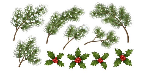 Christmas Holly Sprigs and Snow- Dusted Pine Branches Border winter isolated on a transparent background