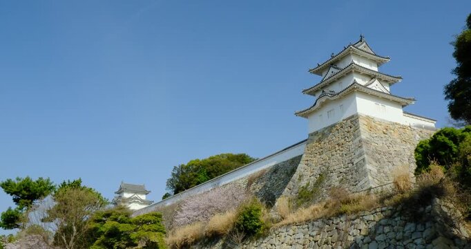 桜咲く明石城　兵庫県　ティルト映像