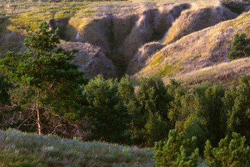 Scenic landscape view of deep clay ravine with eroded slopes
