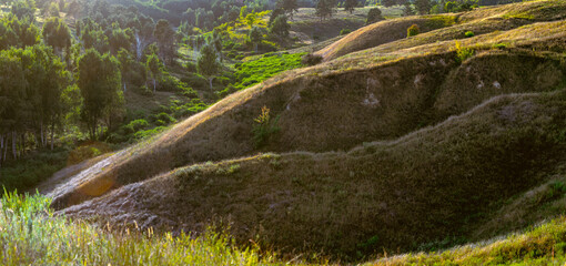 Panoramic landscape view of deep clay ravine with grassy slopes