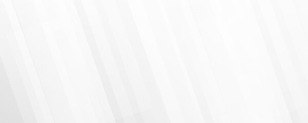 Obraz premium White abstract background with line pattern, banner design. Vector