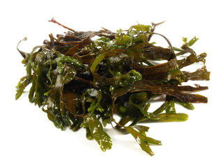 Food and Health - Fresh Seaweed on white Background