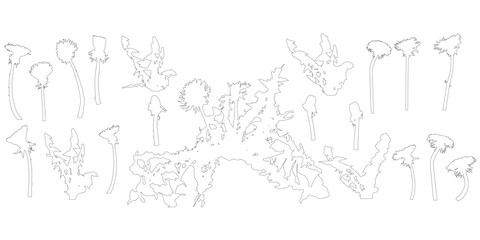 Dandelion flower, set of contours. Vector illustration.