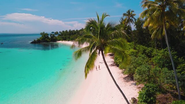 palm trees on a white sand beach in Banggai Islands, Sulawesi