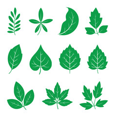 Collection of Green Leaf Silhouettes in Various Shapes and Sizes