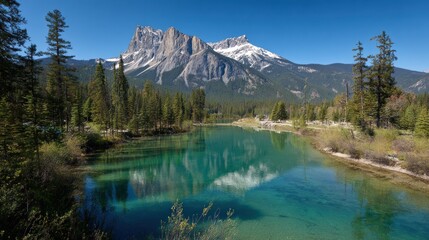 Emerald Lake Landscape With Snow Capped Peaks and Pine Forest Reflections in Banff National Park During Bright Daylight