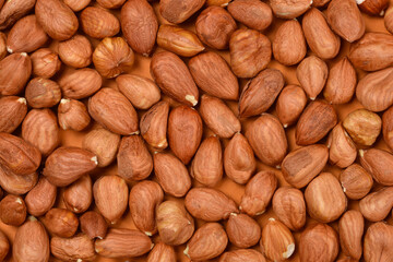 A dense, overhead view captures a uniform scattering of shelled and skin-on hazelnuts, completely filling the frame with rich brown texture