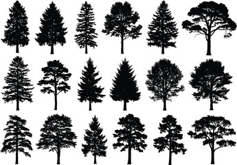 Fototapeta premium Collection of diverse evergreen and deciduous tree silhouettes in a stylized artistic illustration against a white background