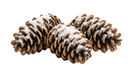 Group of three pine cones topped with white snow