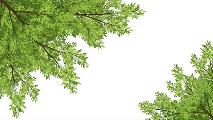 Obraz premium Tree branches with green leaves on top left and bottom right corners against white background space