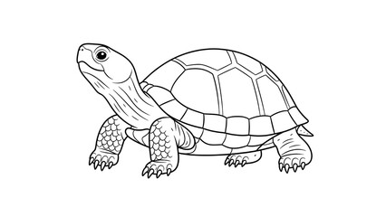 Adorable turtle illustration ready for coloring books and children's art