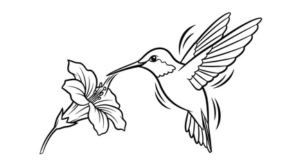 Elegant hummingbird gracefully feeding on nectar from a vibrant flower in a stunning black and white design © Sudarshi