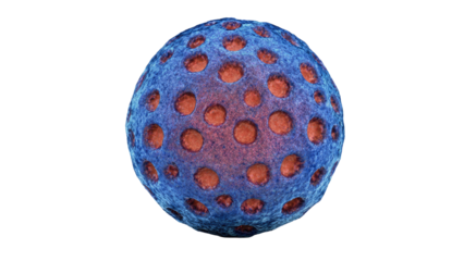 A detailed 3D rendering of a spherical cell or virus, featuring a textured blue surface with many reddish-orange circular indentations. background removed