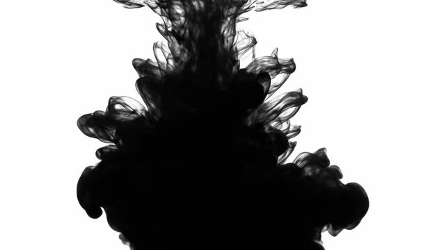 Slow motion abstract black ink dispersion spreading across isolated white background with organic fluidity highspeed, smooth, science
