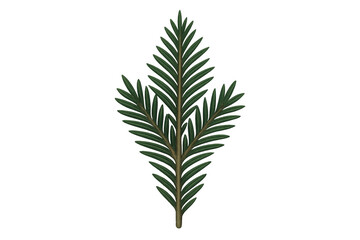 Fototapeta premium Fir branch on transparent background. Creating holiday atmosphere, christmas decoration, winter plant elements, and nature themes