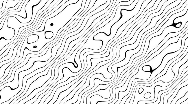 Abstract black and white wavy lines pattern background with organic flowing contour shapes and dynamic curves