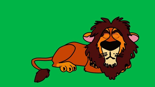 Fierce orange lion roaring angrily on green screen chromakey background. Majestic loopable 2d animated cartoon animation perfect for jungle king, strength symbol, and powerful animal character