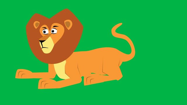 Cute orange lion lying down relaxed on green screen chromakey background. Adorable loopable 2d animated cartoon animation great for safari, zoo, and peaceful big cat resting moments.
