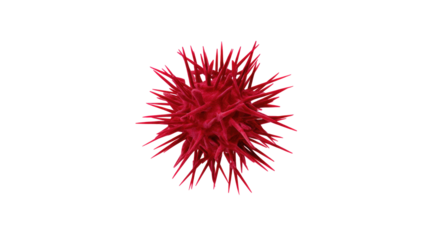 A detailed microscopic view of a vibrant red, spiky spherical cell or virus, resembling a pathogen or pollen grain, isolated on a solid transparent background. background removed
